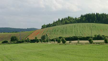 Agrarlandschaft 