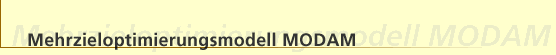 Mehrzieloptimierungsmodell MODAM